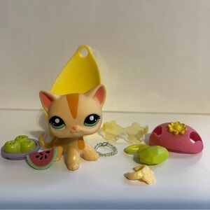 Lps short hair cat